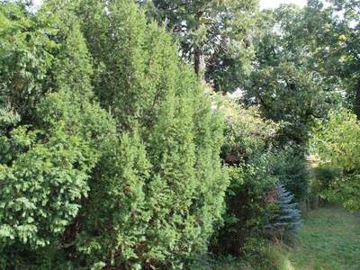 Etagenwohnung provisionsfrei kaufen in 1230 Wien