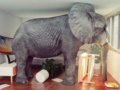 Wohnung mieten in 2334 Vösendorf