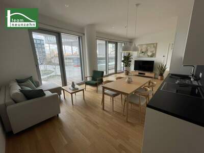 Terrassenwohnung mieten in 1100 Wien (Bild 3)