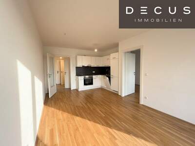 Terrassenwohnung mieten in 1220 Wien (Bild 2)