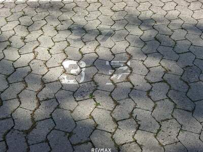 Immobilie mieten in 3100 St. Pölten (Bild 3)