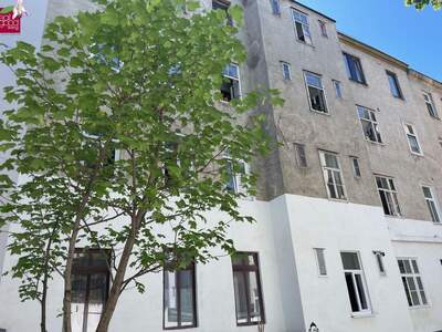 Anlageobjekt kaufen in 1100 Wien (Bild 4)