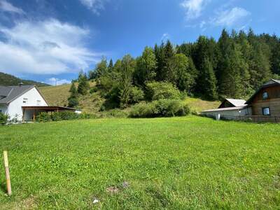 Grundstück kaufen in 8691 Altenberg (Bild 4)