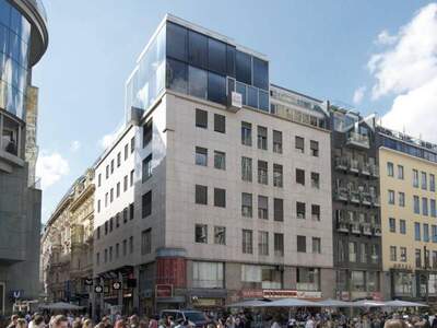 Gewerbeobjekt mieten in 1010 Wien (Bild 1)