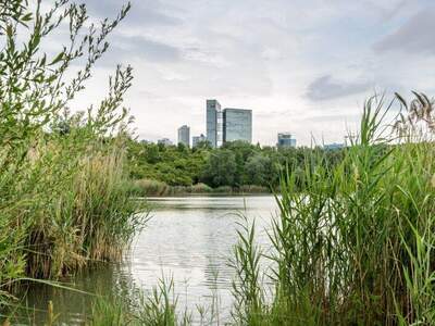 Eigentumswohnung in 1100 Wien (Bild 2)