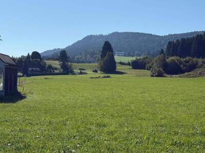 Grundstück provisionsfrei kaufen in 9560 Feldkirchen