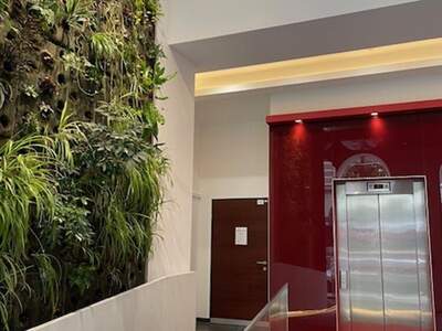 Gewerbeobjekt mieten in 1010 Wien (Bild 2)