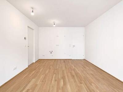 Terrassenwohnung kaufen in 1210 Wien (Bild 4)