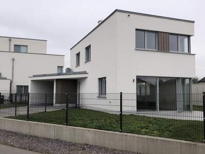 House provisionsfrei mieten in 3452 Niederösterreich