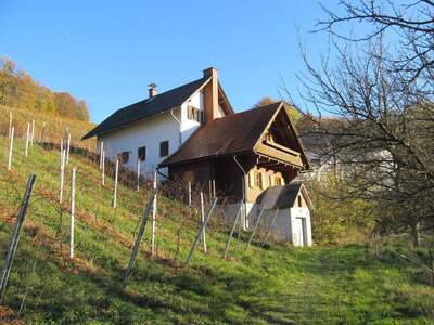 Haus kaufen in 8463 Glanz