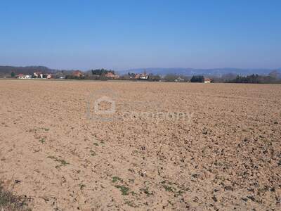 Grundstück kaufen in 8394 Nemesboldogasszonyfa (Bild 2)