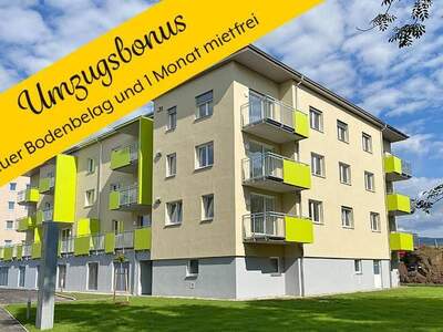 Wohnung mieten in 3370 Ybbs