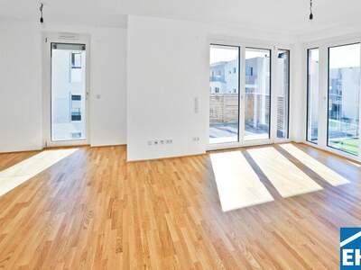 Terrassenwohnung kaufen in 3500 Krems (Bild 2)