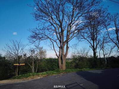 Grundstück kaufen in 1100 Wien