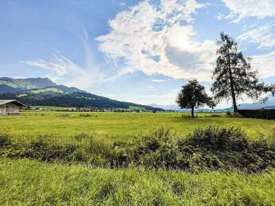 Grundstück kaufen in 6380 Sankt Johann