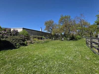 Haus kaufen in 3500 Krems