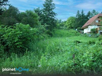 Grundstück kaufen in 2102 Hagenbrunn (Bild 3)