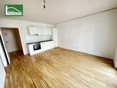 Terrassenwohnung mieten in 8020 Graz (Bild 1)