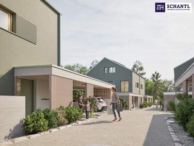 Grundstück kaufen in 8541 Rettenbach (Bild 1)