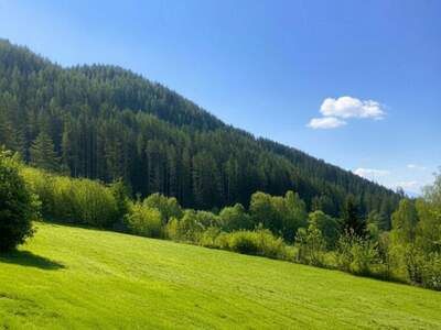 Grundstück kaufen in 8650 Kindberg (Bild 2)