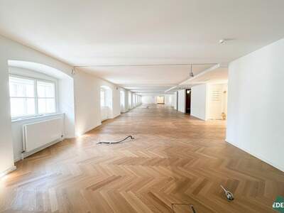 Gewerbeobjekt mieten in 1010 Wien (Bild 3)
