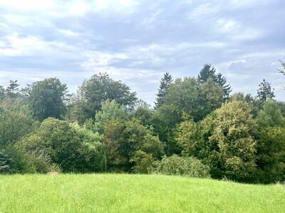 Grundstück kaufen in 8075 Hart (Bild 3)