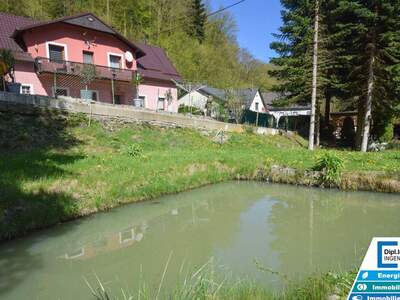 Haus kaufen in 3691 Nöchling (Bild 3)