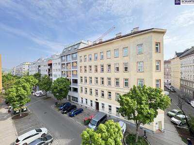Wohnung mieten in 1200 Wien (Bild 4)