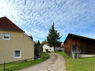 Wohnung mieten in 4360 Grein