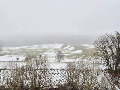 Gewerbeobjekt kaufen in 3233 Kilb