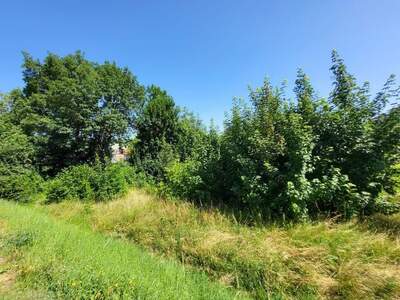 Grundstück kaufen in 4060 Leonding