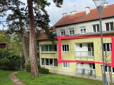 Mietwohnung provisionsfrei in 2340 Mödling