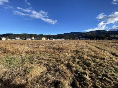 Grundstück kaufen in 8720 Apfelberg (Bild 4)