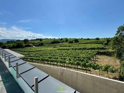 Wohnung kaufen in 3500 Krems