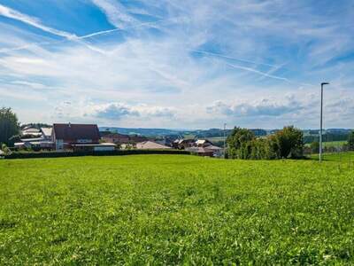 Grundstück kaufen in 4776 Diersbach