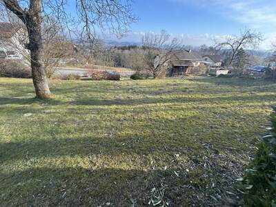 Grundstück kaufen in 4902 Wolfsegg (Bild 3)