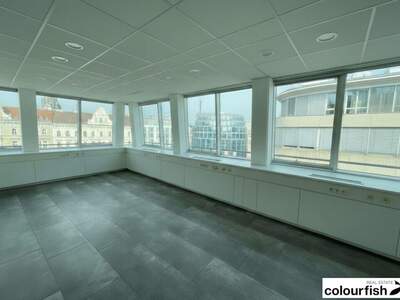 Gewerbeobjekt mieten in 1060 Wien (Bild 2)