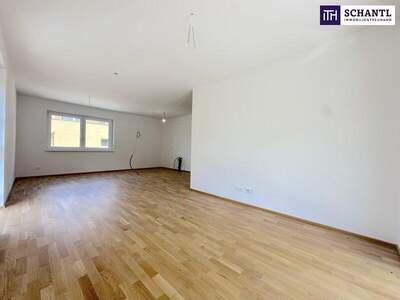 Terrassenwohnung kaufen in 8401 Kalsdorf (Bild 3)