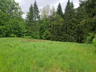 Grundstück kaufen in 8635 Gollrad (Bild 2)