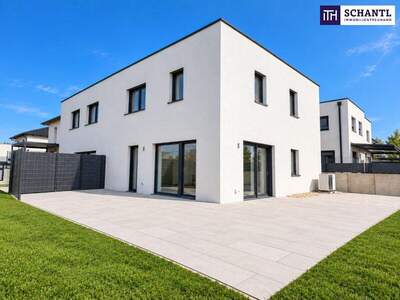 Haus kaufen in 2120 Wolkersdorf (Bild 1)