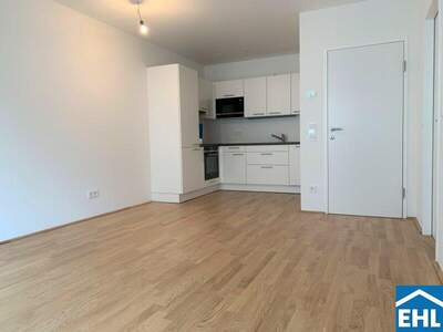 Terrassenwohnung mieten in 1150 Wien (Bild 1)