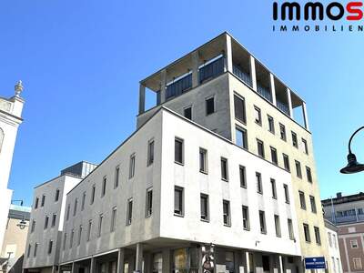 Gewerbeobjekt mieten in 4020 Linz (Bild 1)