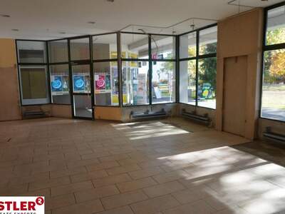 Gewerbeobjekt mieten in 9020 Klagenfurt (Bild 2)