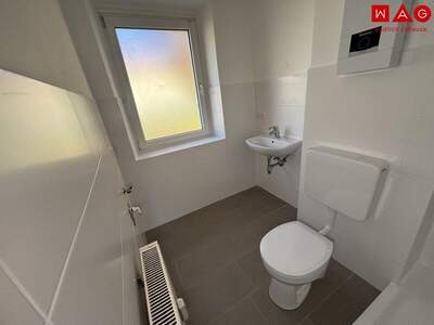Wohnung mieten in 4400 Steyr (Bild 3)