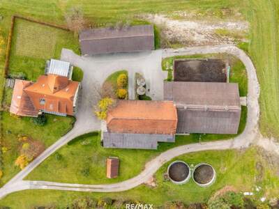 Gewerbeobjekt kaufen in 9431 Reinfelsdorf (Bild 3)