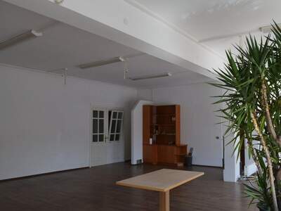 Gewerbeobjekt mieten in 3150 Wilhelmsburg (Bild 2)