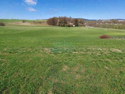 Grundstück kaufen in 4851 Gampern