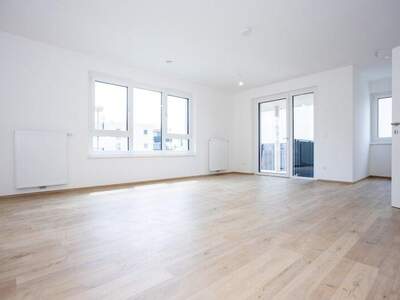 Terrassenwohnung kaufen in 2700 Wr. Neustadt (Bild 3)