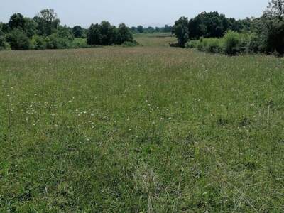 Grundstück kaufen in 53233 Vaganac (Bild 1)