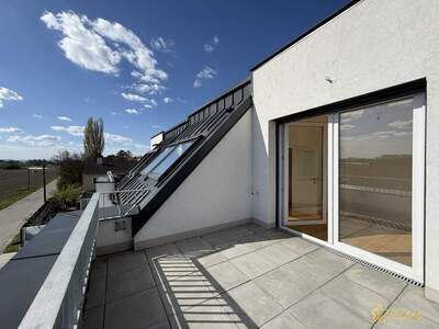 Haus kaufen in 1220 Wien